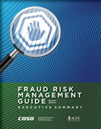Fraud Risk Management Guide