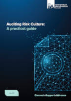 Auditing Risk Culture: A Practical Guide
