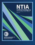 Artificial Intelligence Accountability Policy Report