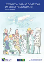 Estratégia Sobane de Gestão de Riscos Profissionais