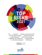 Top Risks 2021