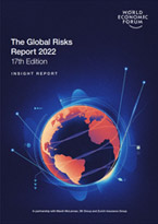 The Global Risks Report 2022