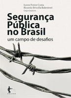Segurança Pública no Brasil