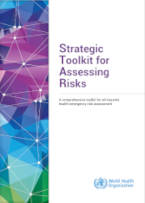 Strategic Toolkit for Assessing Risks